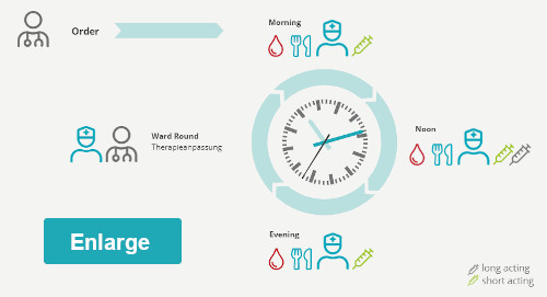 Animation-Basal-Bolus_en